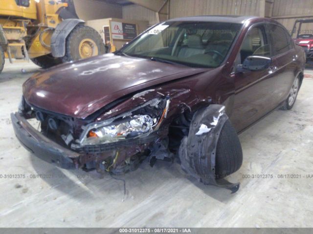 Photo 5 VIN: 5KBCP3F81AB018664 - HONDA ACCORD SDN 