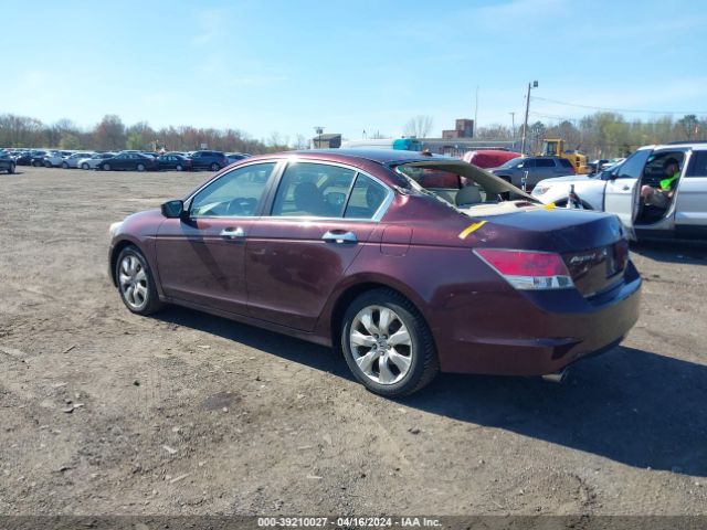 Photo 2 VIN: 5KBCP3F82AB005079 - HONDA ACCORD 