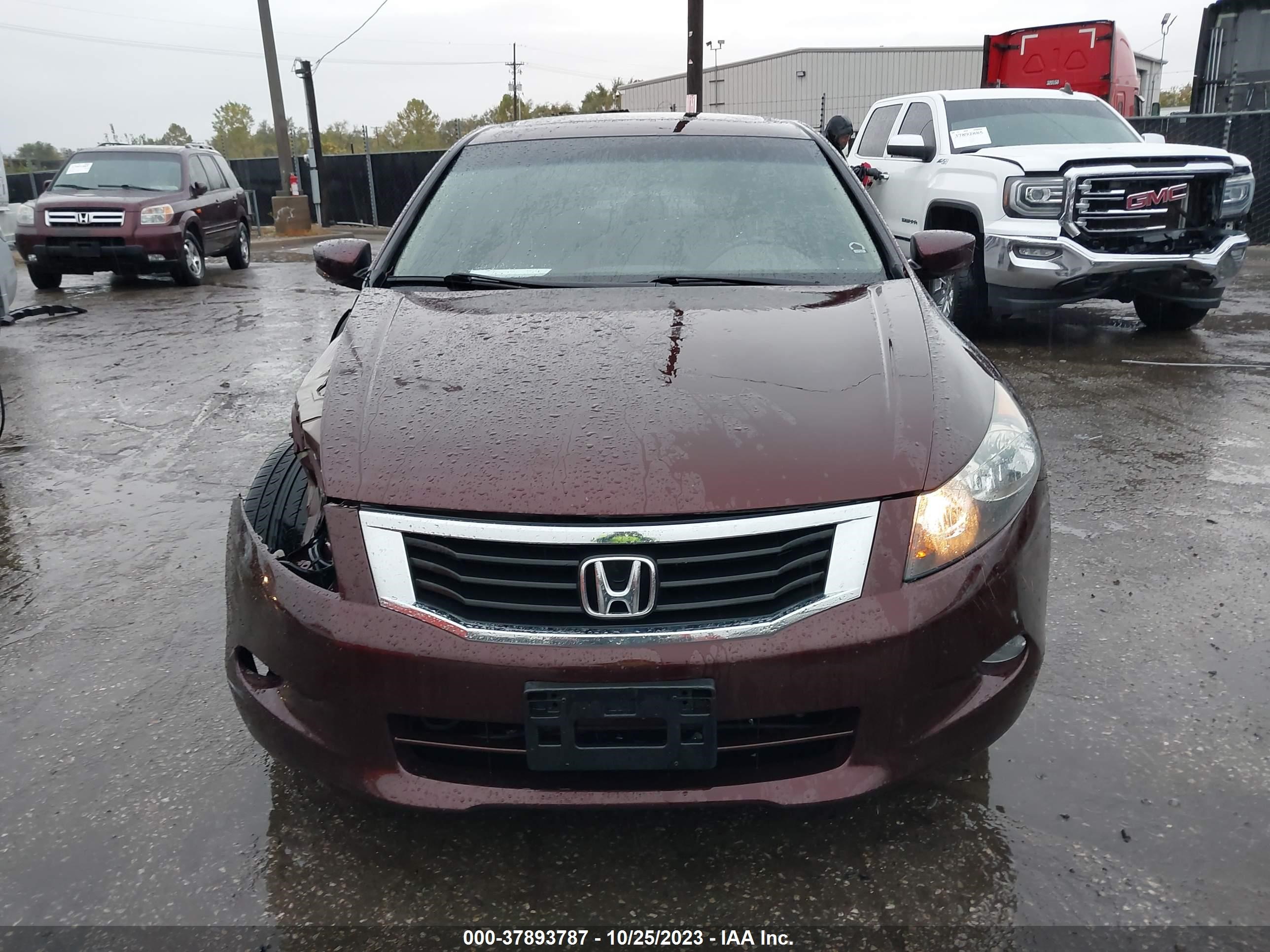 Photo 12 VIN: 5KBCP3F82AB007186 - HONDA ACCORD 