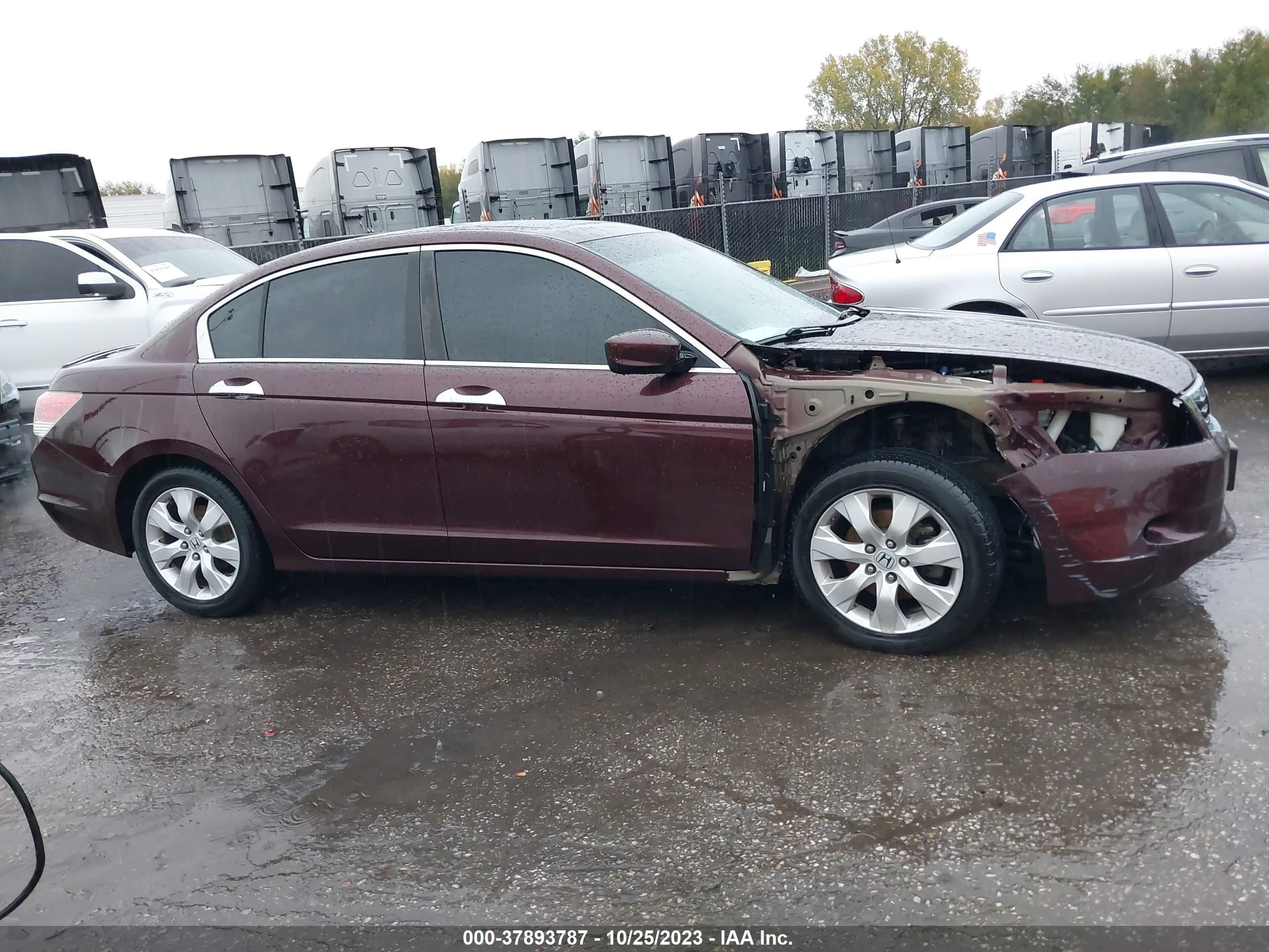 Photo 13 VIN: 5KBCP3F82AB007186 - HONDA ACCORD 