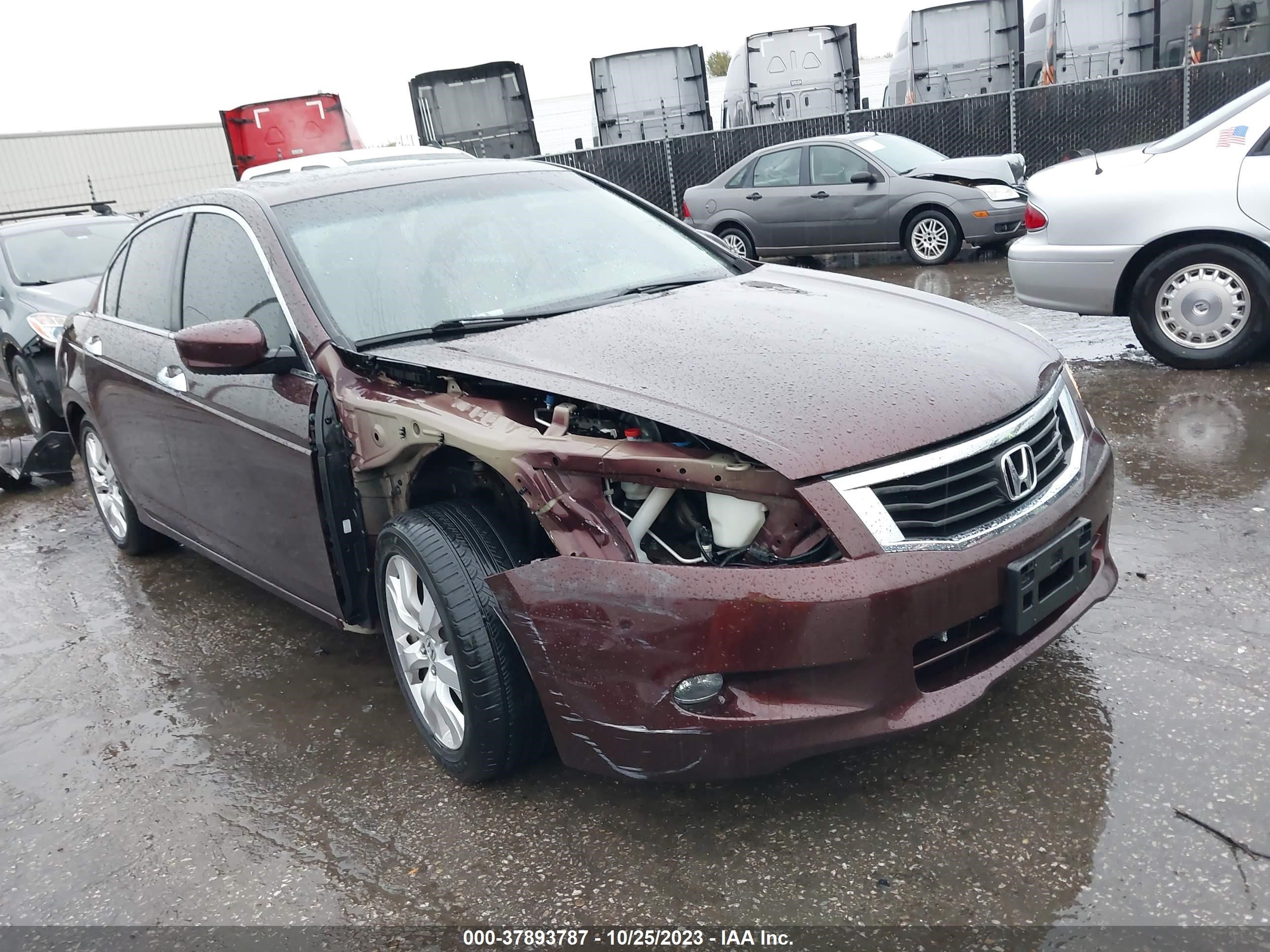 Photo 5 VIN: 5KBCP3F82AB007186 - HONDA ACCORD 