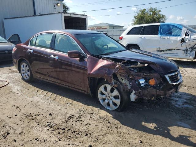 Photo 3 VIN: 5KBCP3F82AB007897 - HONDA ACCORD EXL 