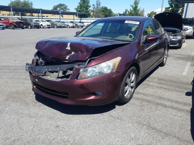 Photo 1 VIN: 5KBCP3F82AB016101 - HONDA ACCORD EXL 