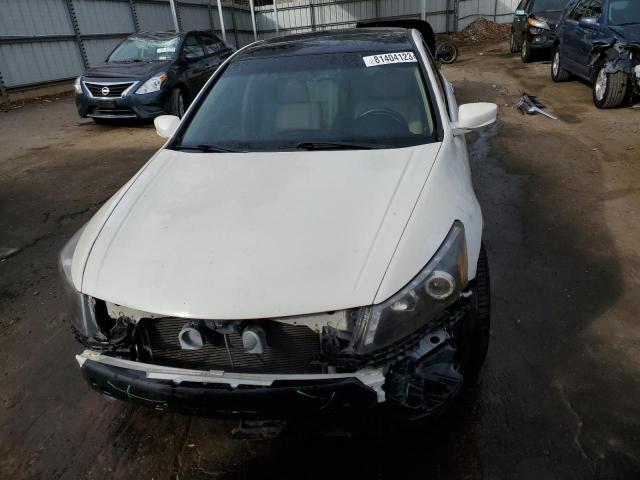 Photo 4 VIN: 5KBCP3F82BB003513 - HONDA ACCORD 