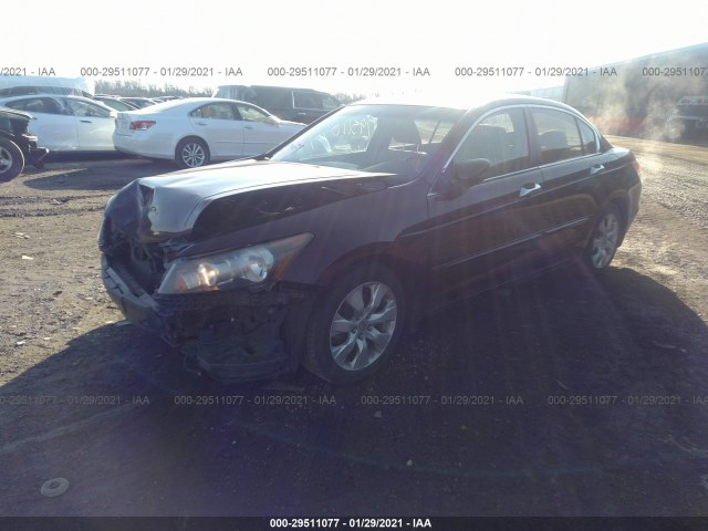 Photo 1 VIN: 5KBCP3F83AB010405 - HONDA ACCORD SDN 