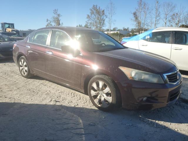 Photo 3 VIN: 5KBCP3F83AB010646 - HONDA ACCORD EXL 