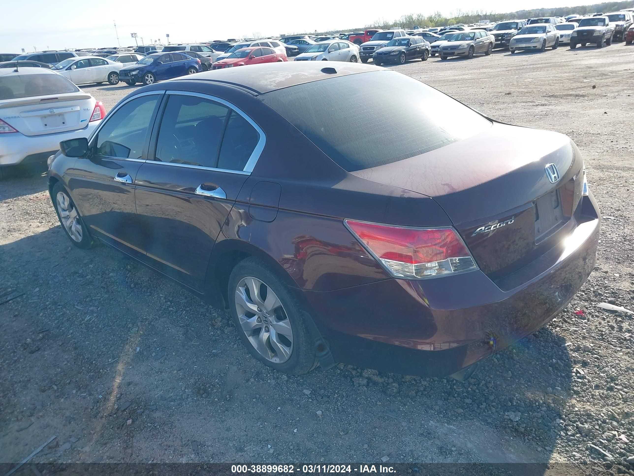 Photo 2 VIN: 5KBCP3F83AB012705 - HONDA ACCORD 