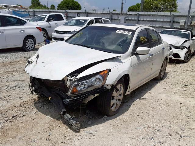 Photo 1 VIN: 5KBCP3F83AB014325 - HONDA ACCORD 