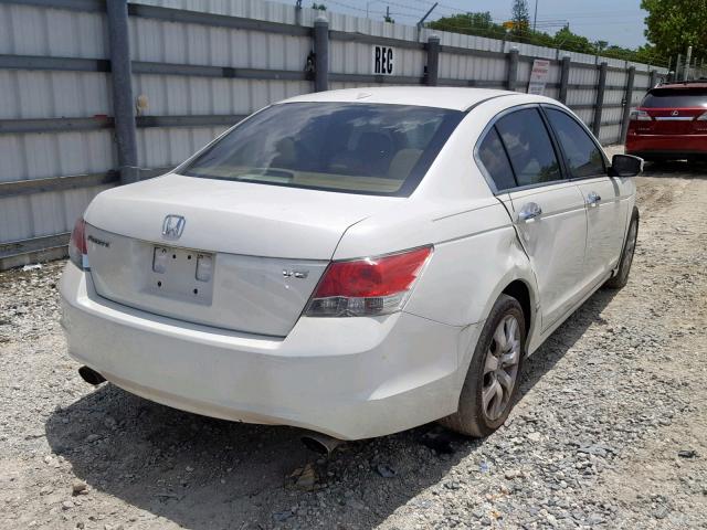 Photo 3 VIN: 5KBCP3F83AB014325 - HONDA ACCORD 