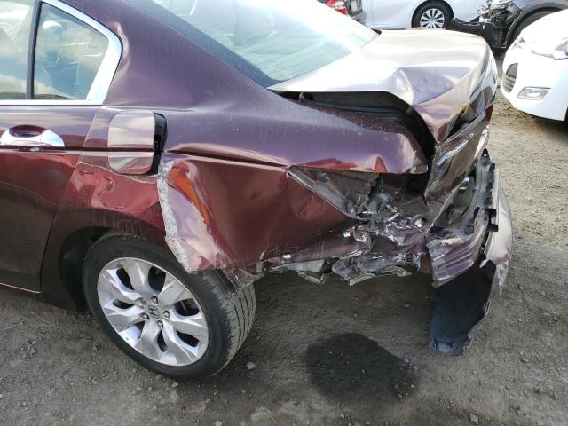 Photo 8 VIN: 5KBCP3F83AB015944 - HONDA ACCORD EXL 