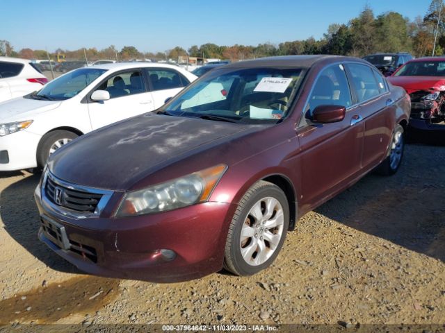 Photo 1 VIN: 5KBCP3F83AB018312 - HONDA ACCORD 