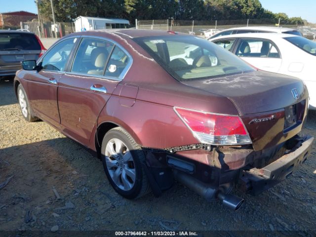 Photo 2 VIN: 5KBCP3F83AB018312 - HONDA ACCORD 