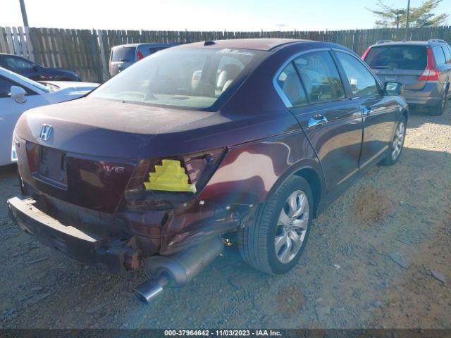 Photo 3 VIN: 5KBCP3F83AB018312 - HONDA ACCORD 