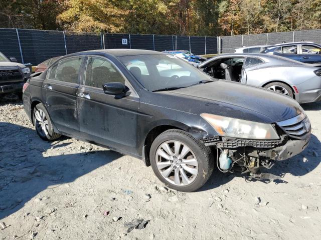 Photo 3 VIN: 5KBCP3F83BB003357 - HONDA ACCORD EXL 