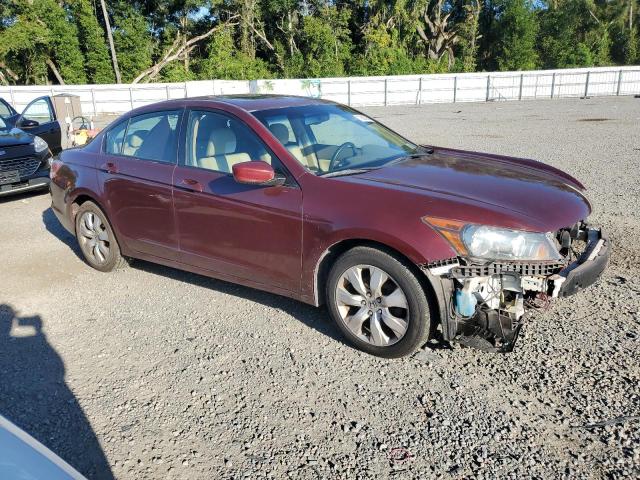 Photo 3 VIN: 5KBCP3F84AB002801 - HONDA ACCORD EXL 