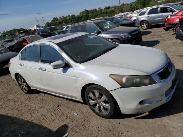 Photo 3 VIN: 5KBCP3F84AB003379 - HONDA ACCORD EXL 