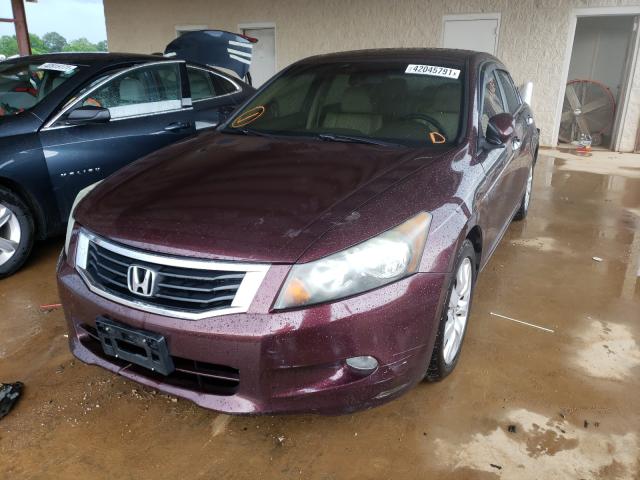 Photo 1 VIN: 5KBCP3F84AB007786 - HONDA ACCORD EXL 