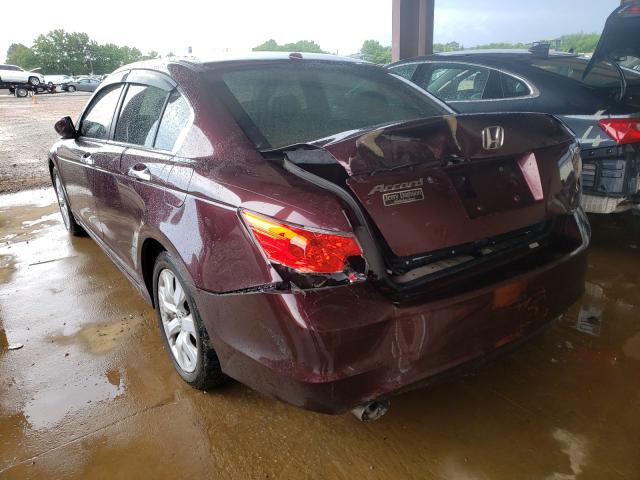 Photo 2 VIN: 5KBCP3F84AB007786 - HONDA ACCORD EXL 