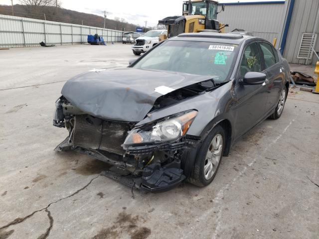 Photo 1 VIN: 5KBCP3F84AB008209 - HONDA ACCORD EXL 