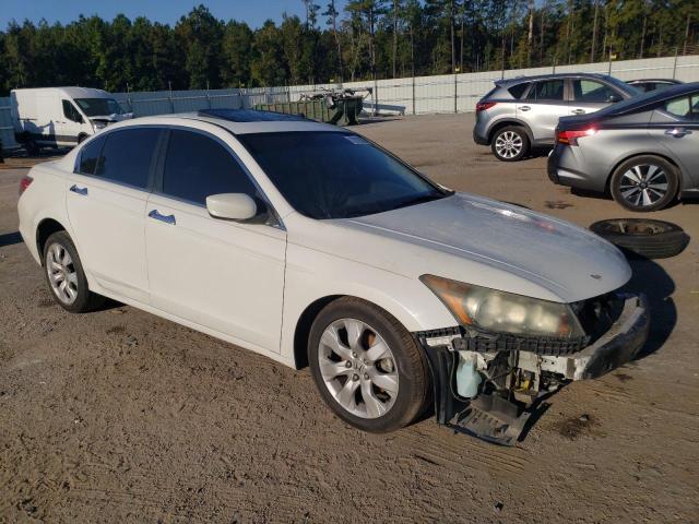 Photo 3 VIN: 5KBCP3F84AB010865 - HONDA ACCORD 