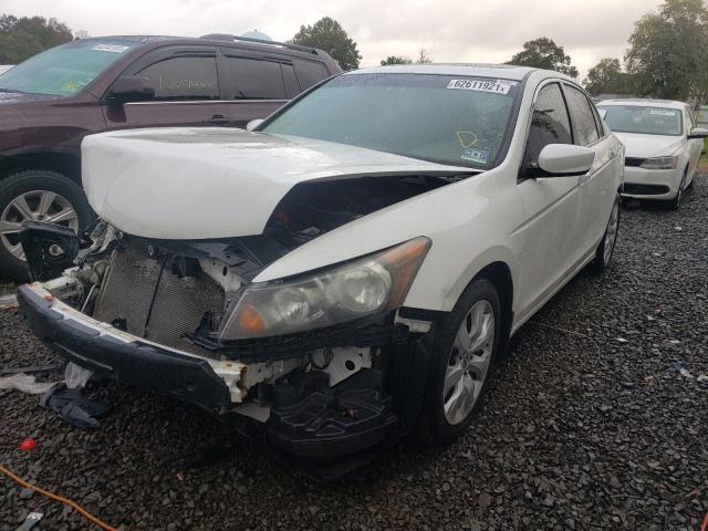 Photo 1 VIN: 5KBCP3F84AB011594 - HONDA ACCORD EXL 