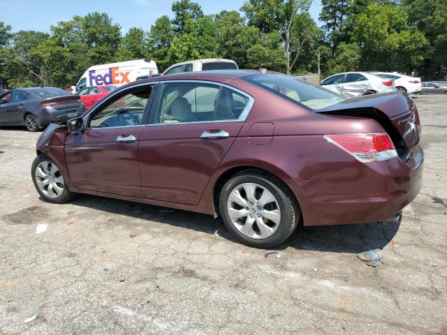 Photo 1 VIN: 5KBCP3F84AB013202 - HONDA ACCORD EXL 