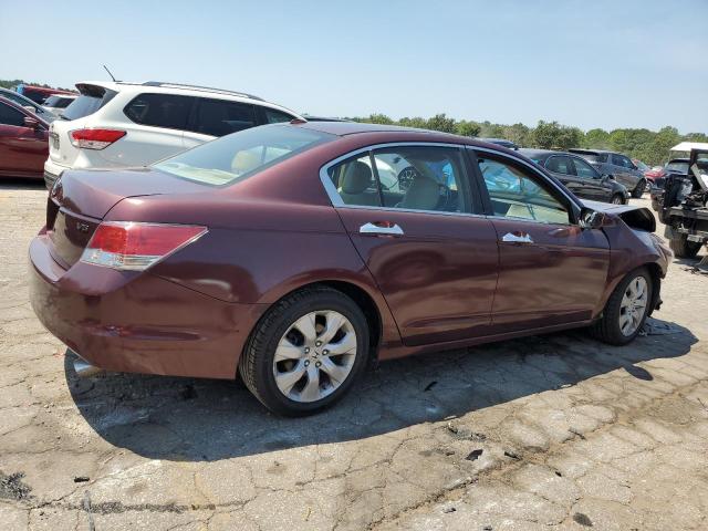 Photo 2 VIN: 5KBCP3F84AB013202 - HONDA ACCORD EXL 