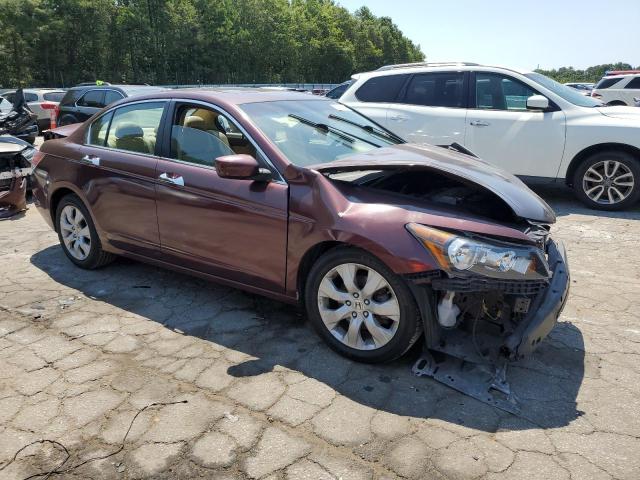 Photo 3 VIN: 5KBCP3F84AB013202 - HONDA ACCORD EXL 