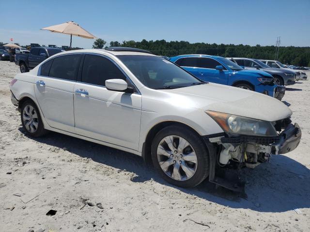 Photo 3 VIN: 5KBCP3F84AB017170 - HONDA ACCORD 