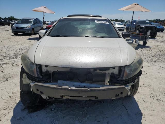 Photo 4 VIN: 5KBCP3F84AB017170 - HONDA ACCORD 