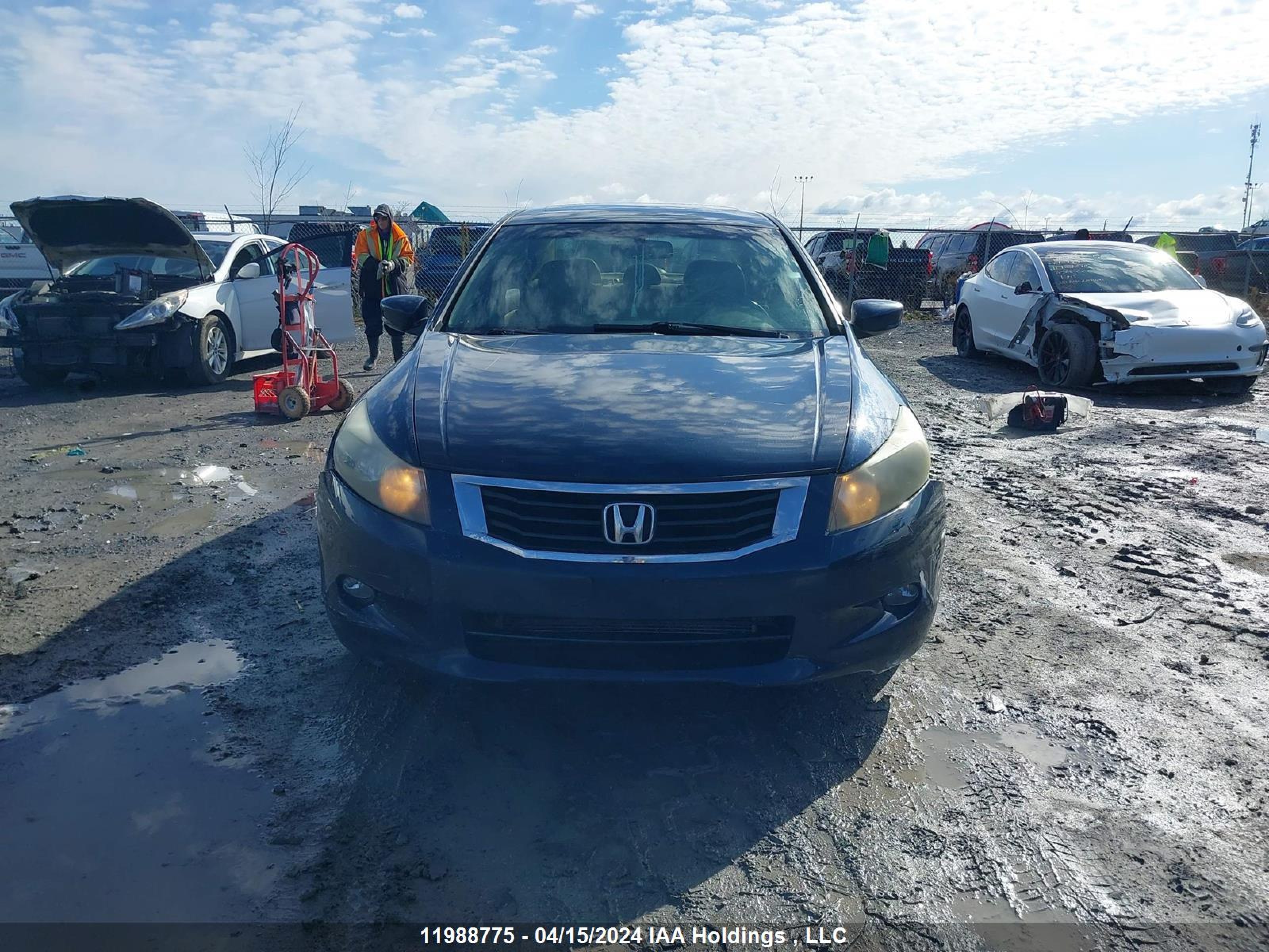 Photo 11 VIN: 5KBCP3F84AB501002 - HONDA ACCORD 