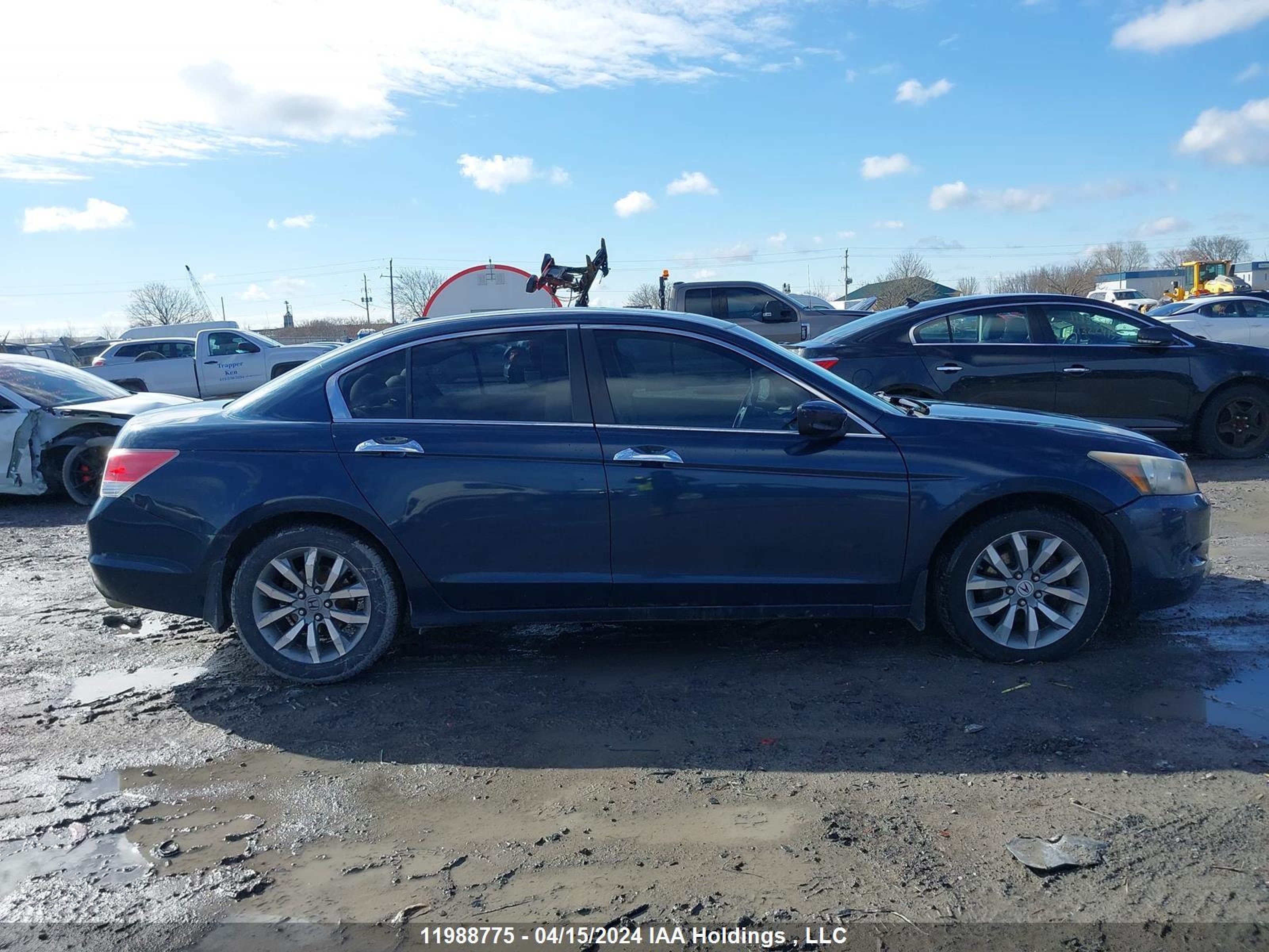 Photo 12 VIN: 5KBCP3F84AB501002 - HONDA ACCORD 