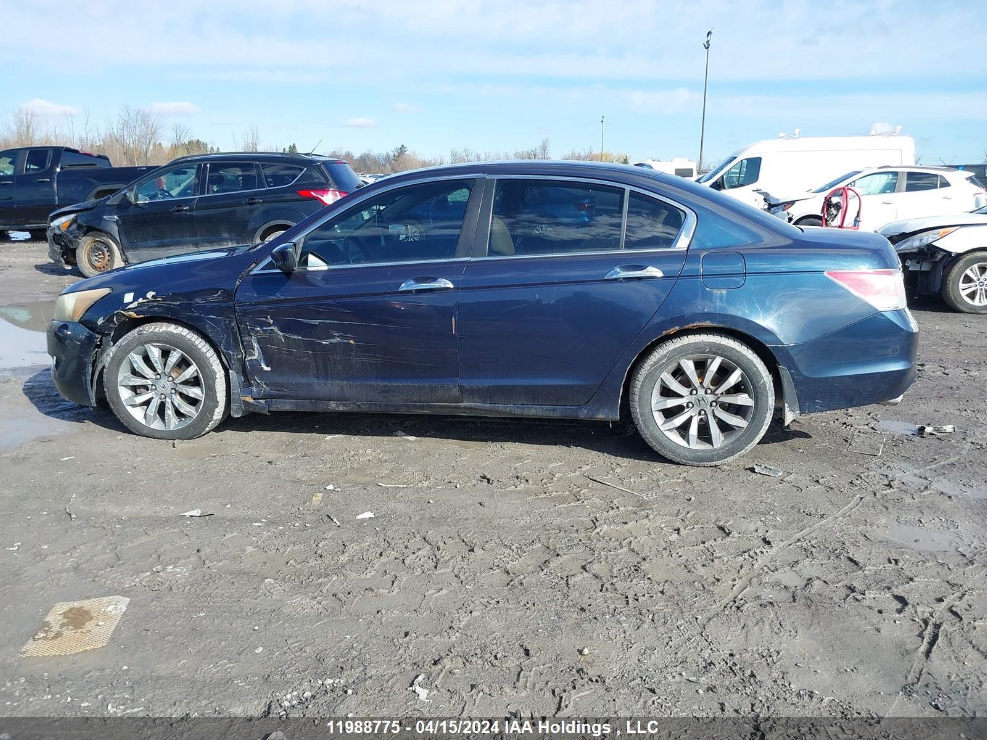 Photo 13 VIN: 5KBCP3F84AB501002 - HONDA ACCORD 