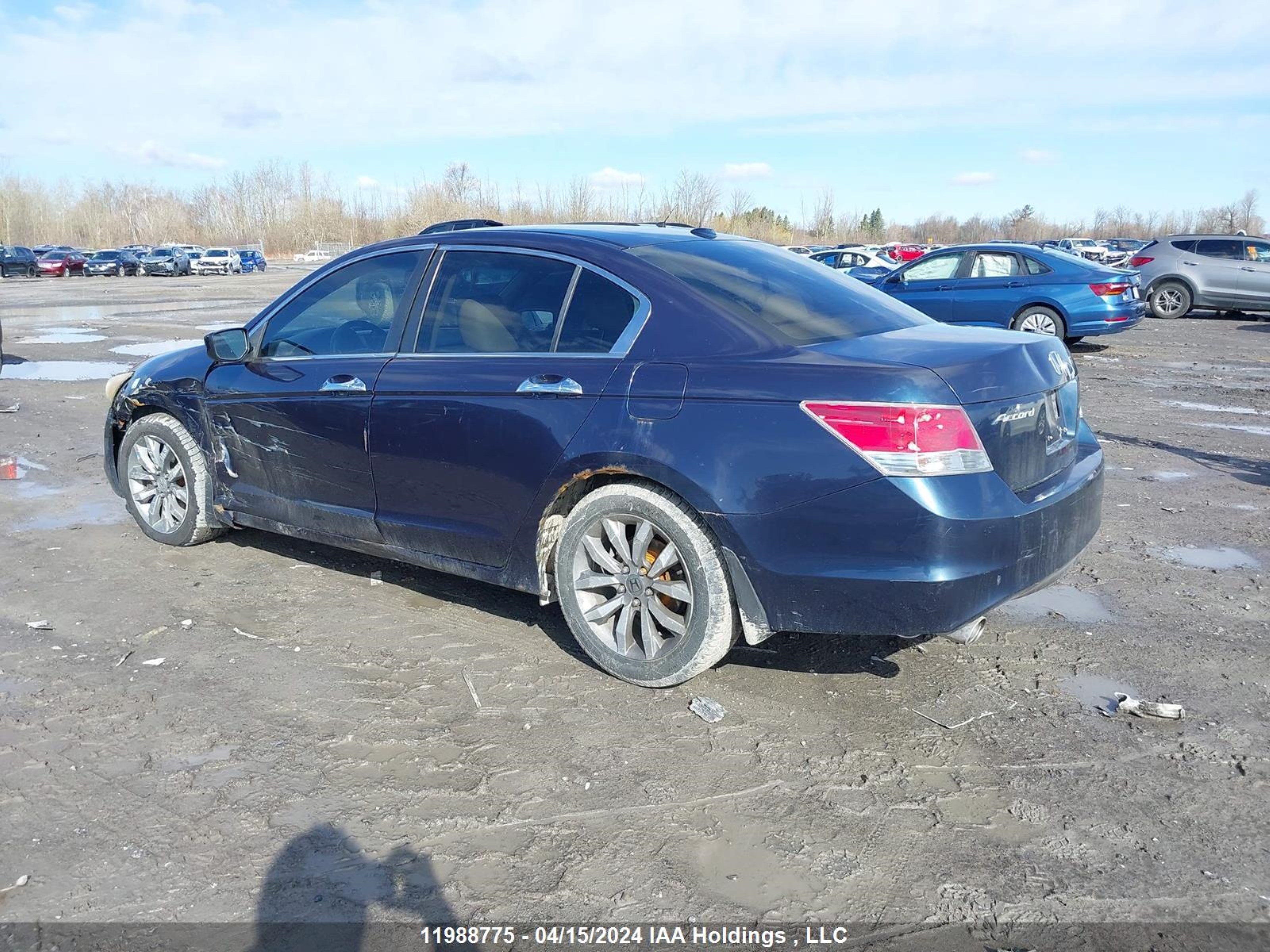 Photo 2 VIN: 5KBCP3F84AB501002 - HONDA ACCORD 