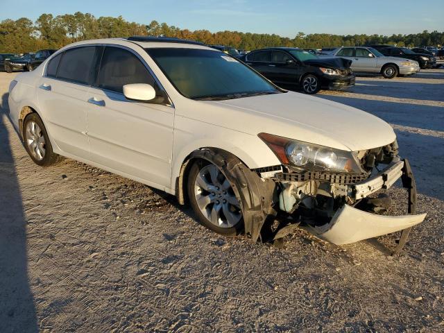 Photo 3 VIN: 5KBCP3F85AB004105 - HONDA ACCORD 