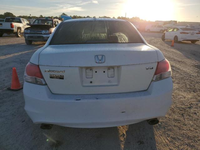 Photo 5 VIN: 5KBCP3F85AB004105 - HONDA ACCORD 