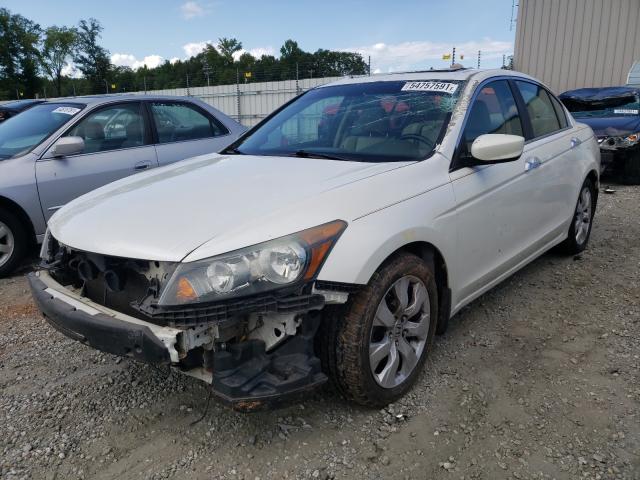 Photo 1 VIN: 5KBCP3F85AB004945 - HONDA ACCORD EXL 