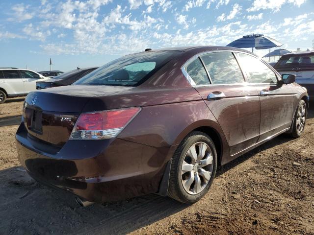 Photo 2 VIN: 5KBCP3F85AB007831 - HONDA ACCORD EXL 