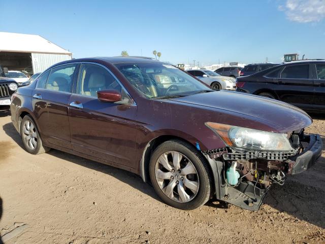 Photo 3 VIN: 5KBCP3F85AB007831 - HONDA ACCORD EXL 