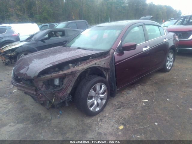 Photo 1 VIN: 5KBCP3F85AB012141 - HONDA ACCORD SDN 