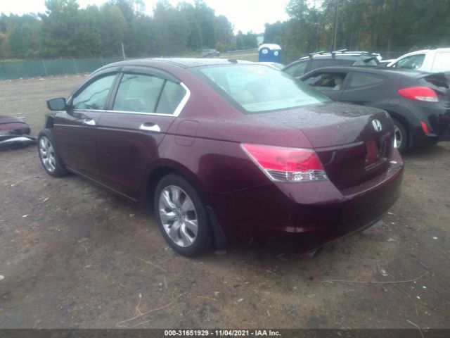 Photo 2 VIN: 5KBCP3F85AB012141 - HONDA ACCORD SDN 