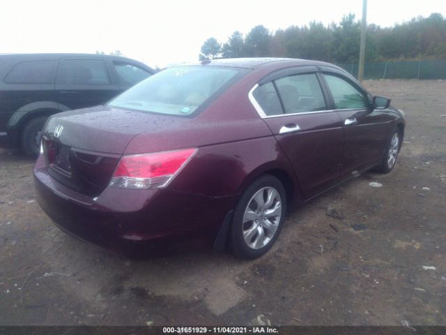 Photo 3 VIN: 5KBCP3F85AB012141 - HONDA ACCORD SDN 