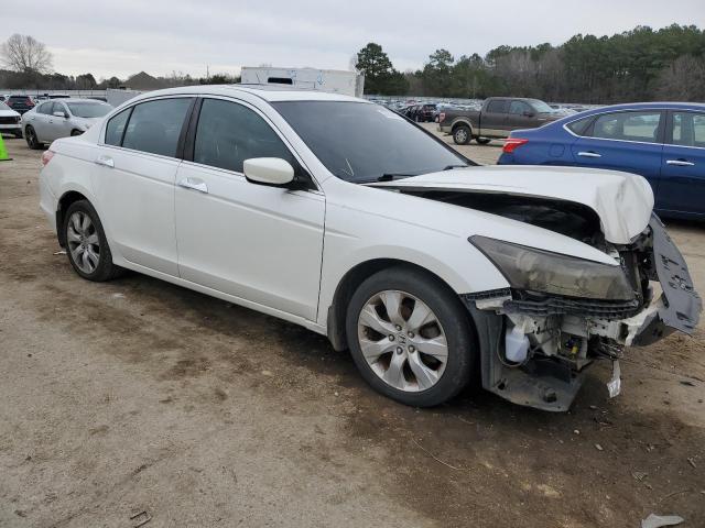 Photo 3 VIN: 5KBCP3F85AB014004 - HONDA ACCORD EXL 