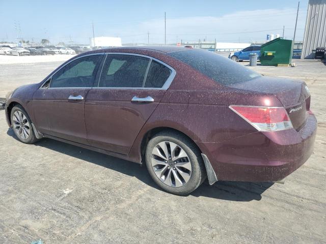 Photo 1 VIN: 5KBCP3F85AB017534 - HONDA ACCORD EXL 