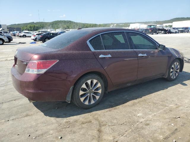 Photo 2 VIN: 5KBCP3F85AB017534 - HONDA ACCORD EXL 