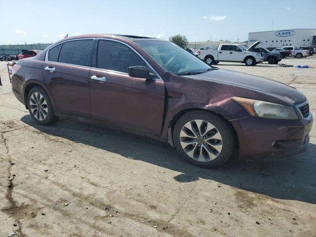 Photo 3 VIN: 5KBCP3F85AB017534 - HONDA ACCORD EXL 