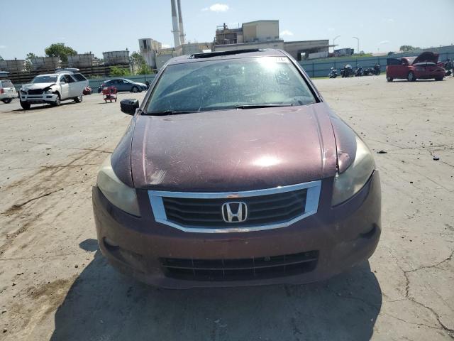 Photo 4 VIN: 5KBCP3F85AB017534 - HONDA ACCORD EXL 