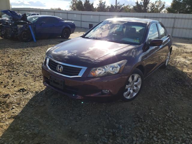 Photo 1 VIN: 5KBCP3F86AB001195 - HONDA ACCORD EXL 