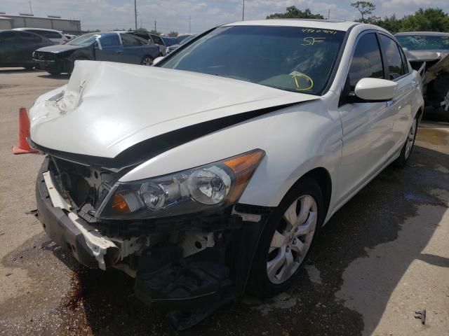 Photo 1 VIN: 5KBCP3F86AB002766 - HONDA ACCORD EXL 