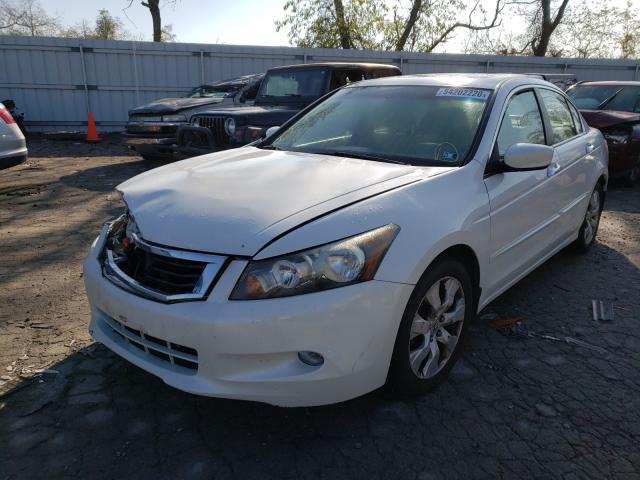 Photo 1 VIN: 5KBCP3F86AB004274 - HONDA ACCORD EXL 